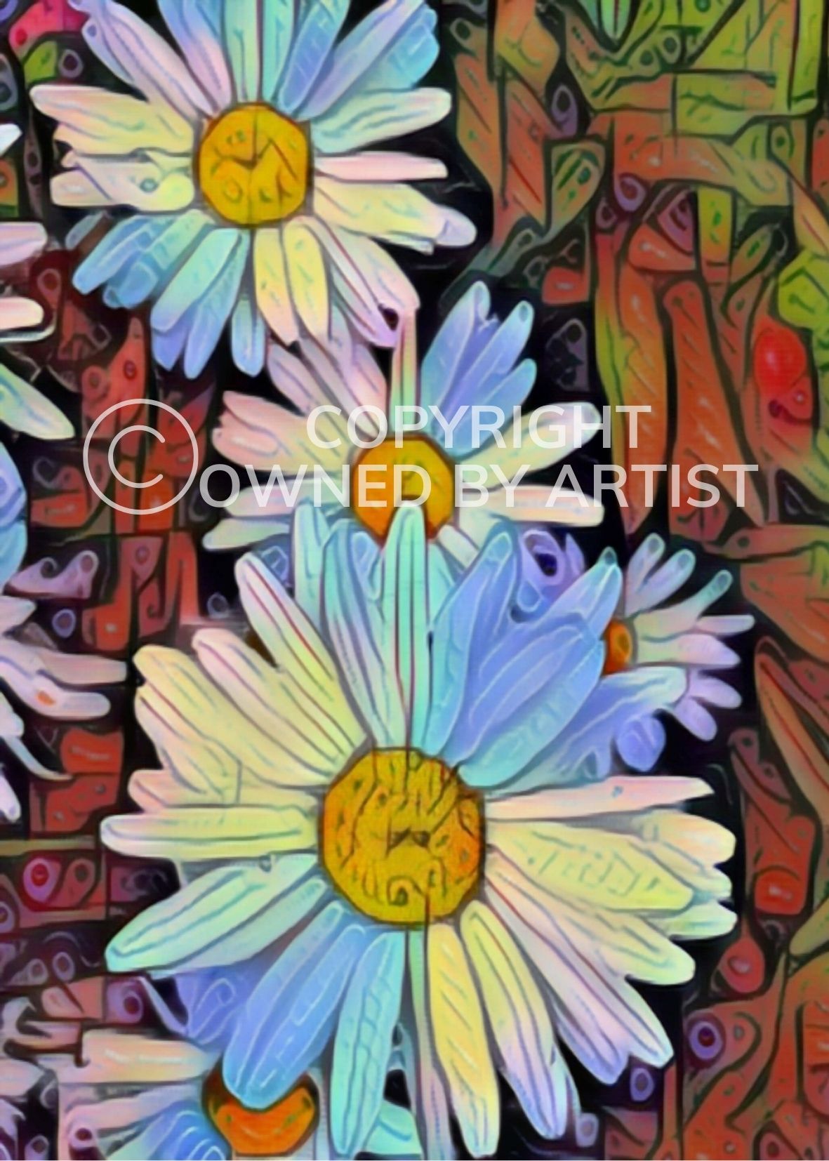 Aster - Frame 'n' Copy