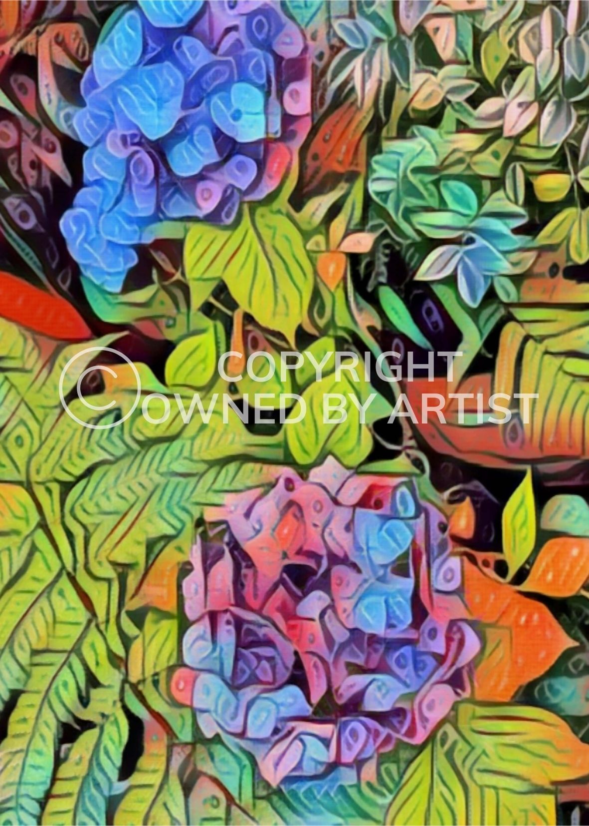 Blue Hydrangea - Frame 'n' Copy