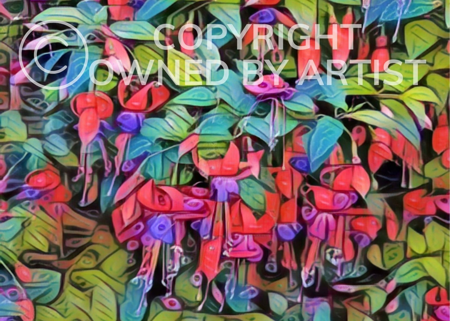 Fuchsia - Frame 'n' Copy