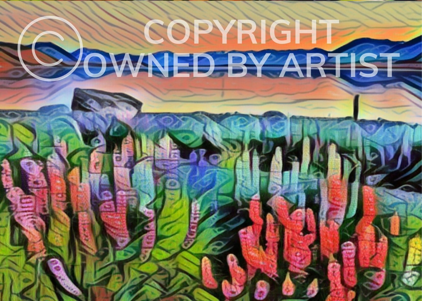 Lakeside Lupins - Frame 'n' Copy