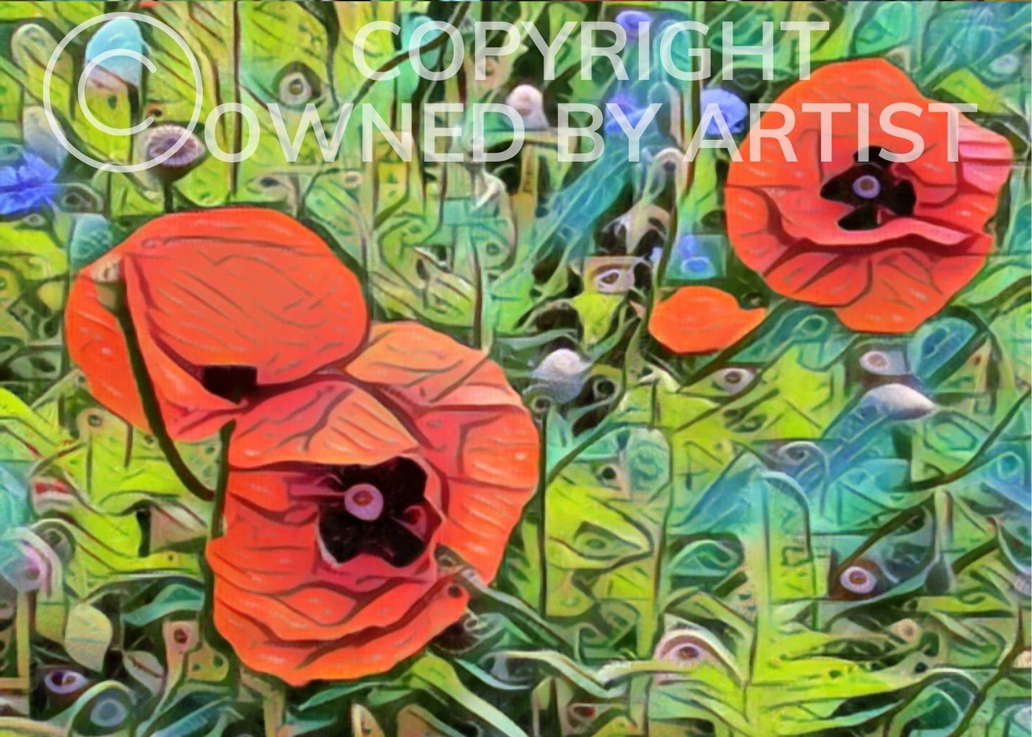 Poppy - Frame 'n' Copy
