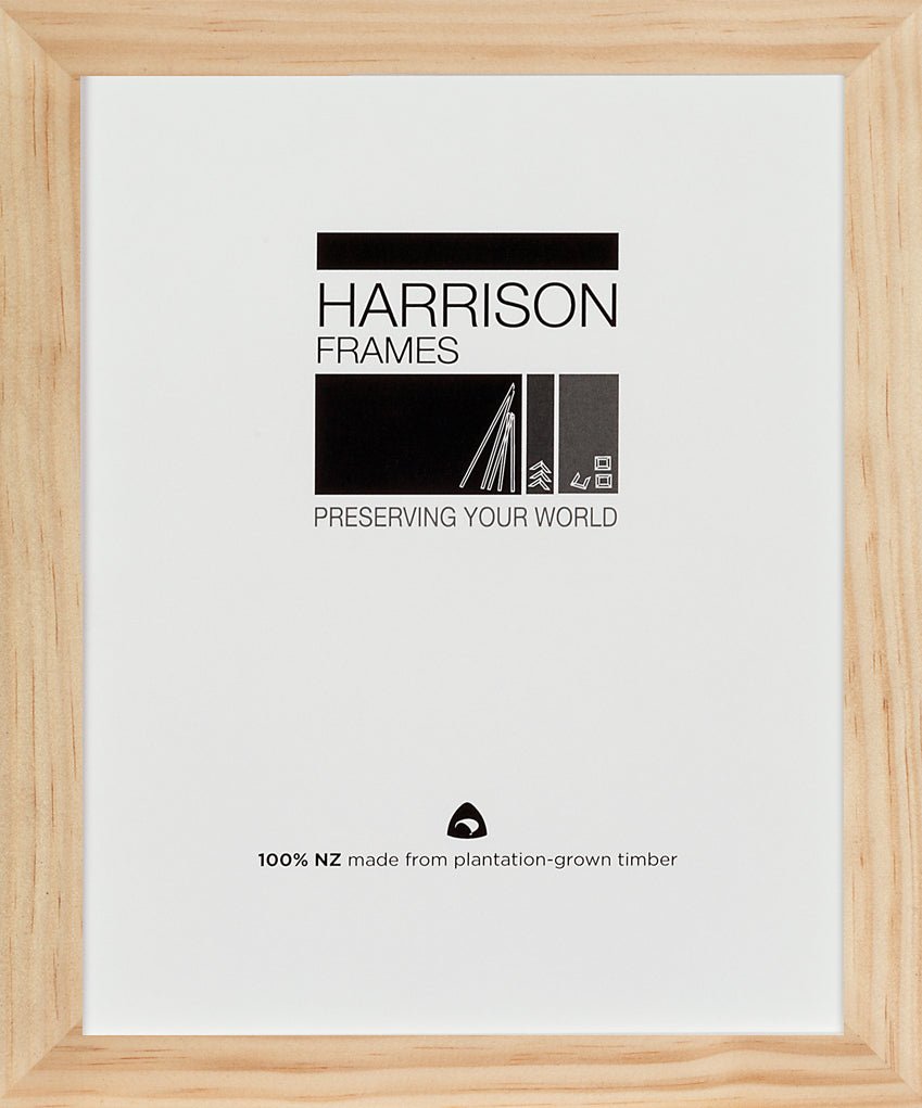 Ready-made Frame: Standard - Frame 'n' Copy