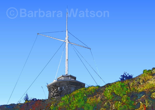 Sentinel - Frame 'n' Copy