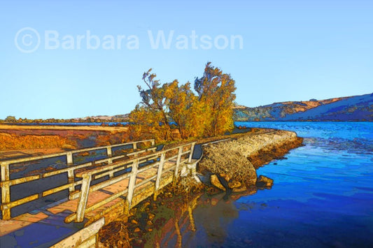 Staying on Track - Frame 'n' Copy