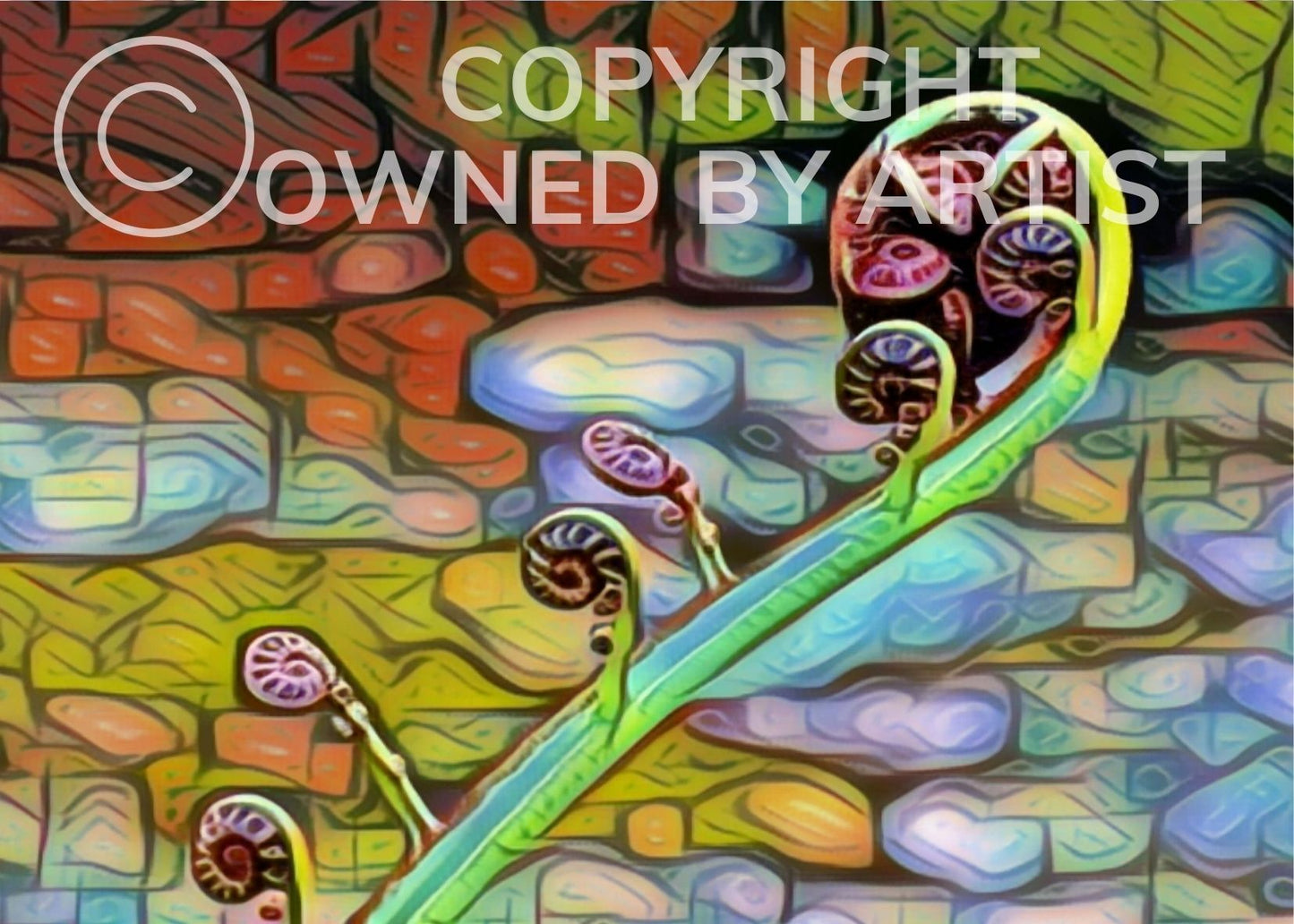 Unfurling - Frame 'n' Copy