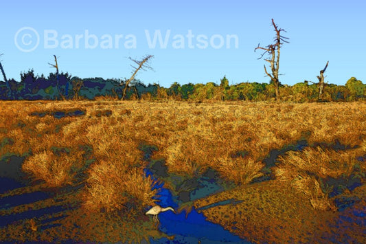 Heron Habitat - Frame 'n' Copy